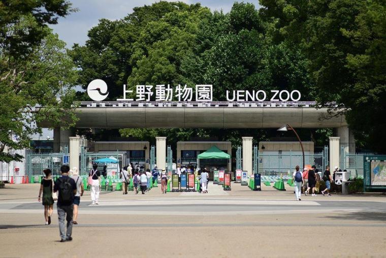 Apartment 浅草圈4层独栋别墅 免费停车场 近车站 可直达机场 *