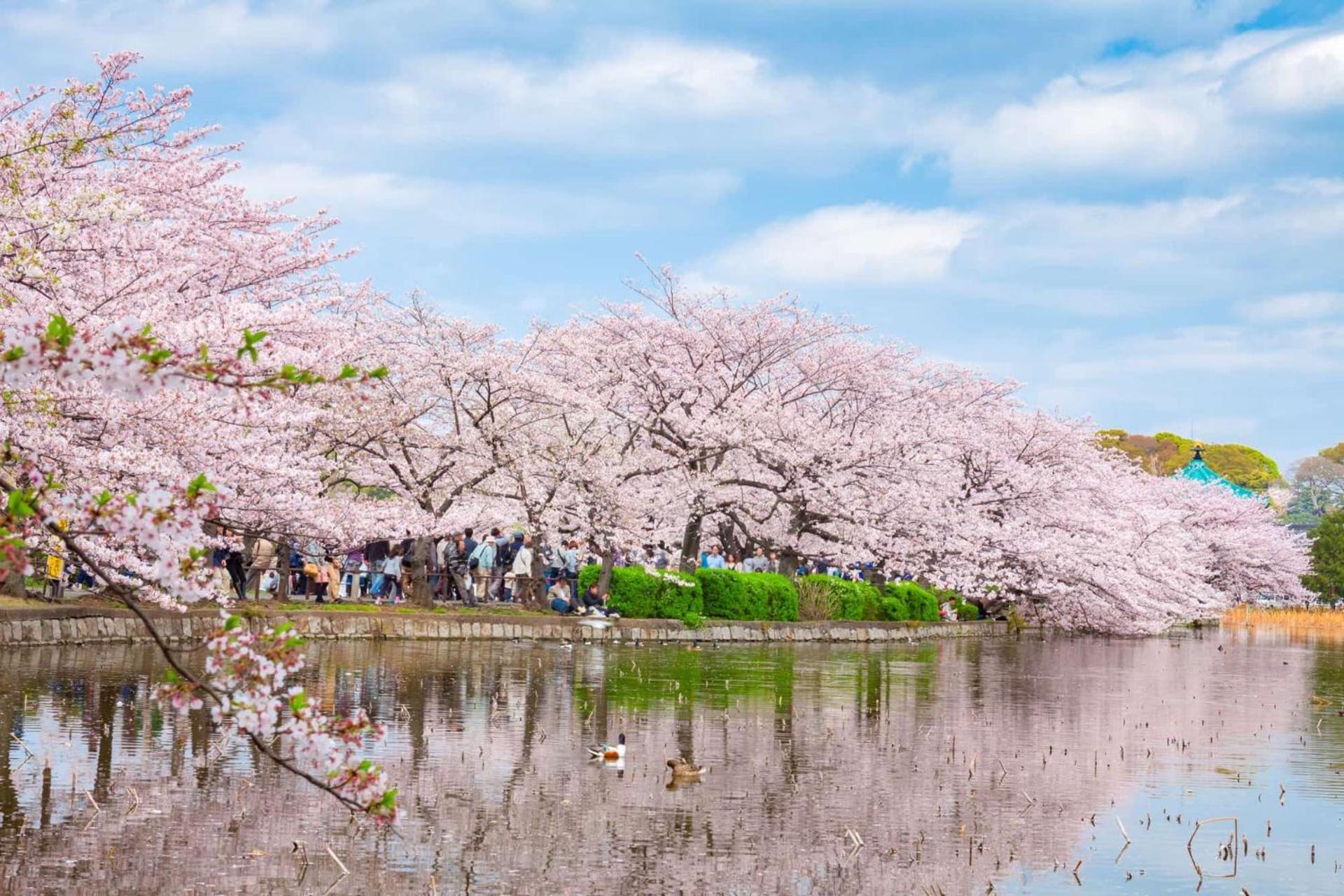 浅草圈4层独栋别墅 免费停车场 近车站 可直达机场 Tokyo