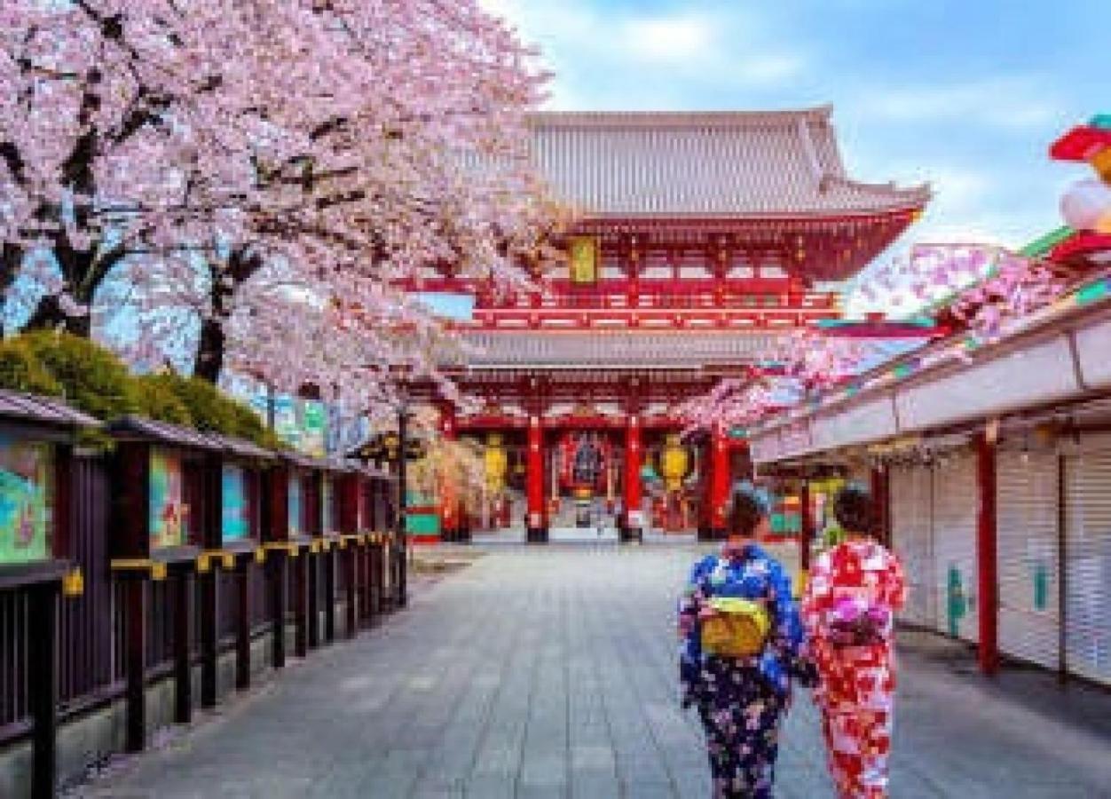 浅草圈4层独栋别墅 免费停车场 近车站 可直达机场 * Tokyo